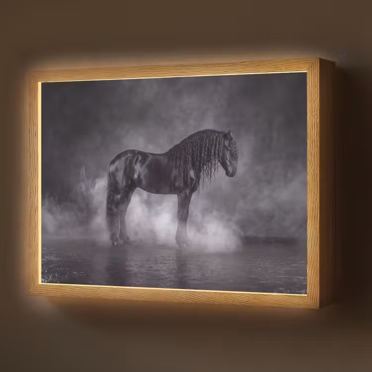 Lightbox - Wandlamp - Paard - Magisch - Zwart — 1