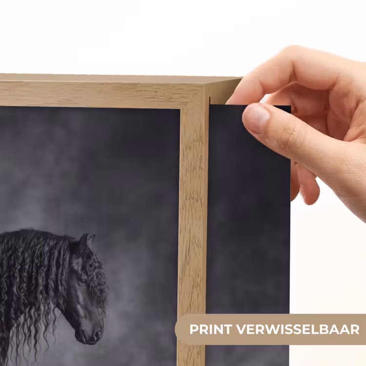 Lightbox - Wandlamp - Paard - Magisch - Zwart — 5