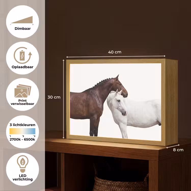 Lightbox - Wandlamp - Paard - Modern - Balans — 10