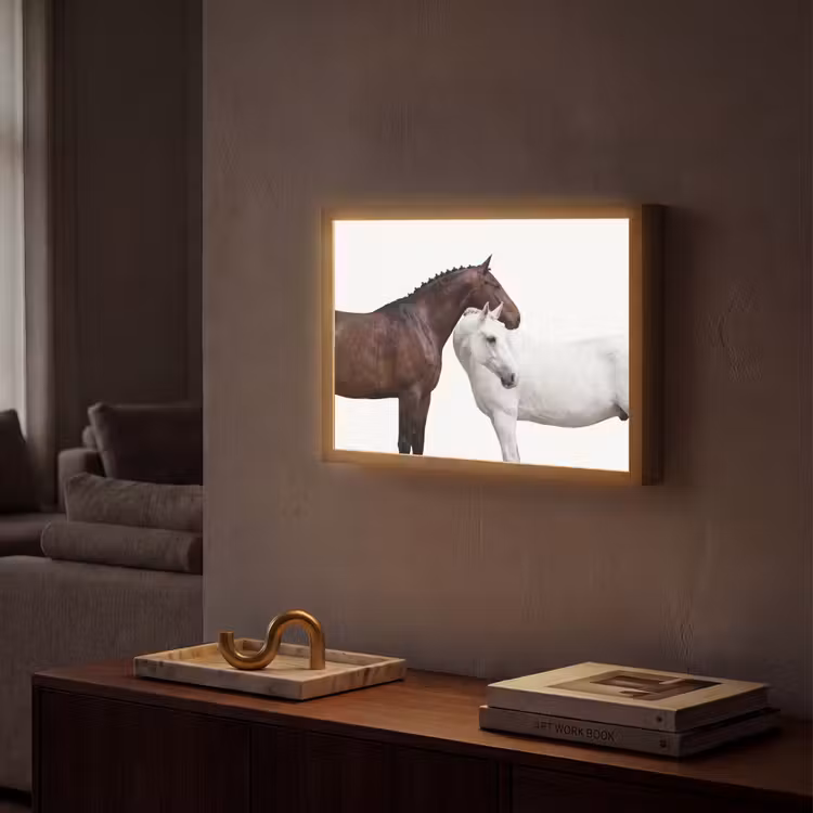 Lightbox - Wandlamp - Paard - Modern - Balans — 2