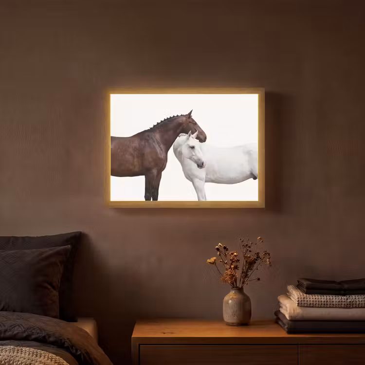 Lightbox - Wandlamp - Paard - Modern - Balans — 3