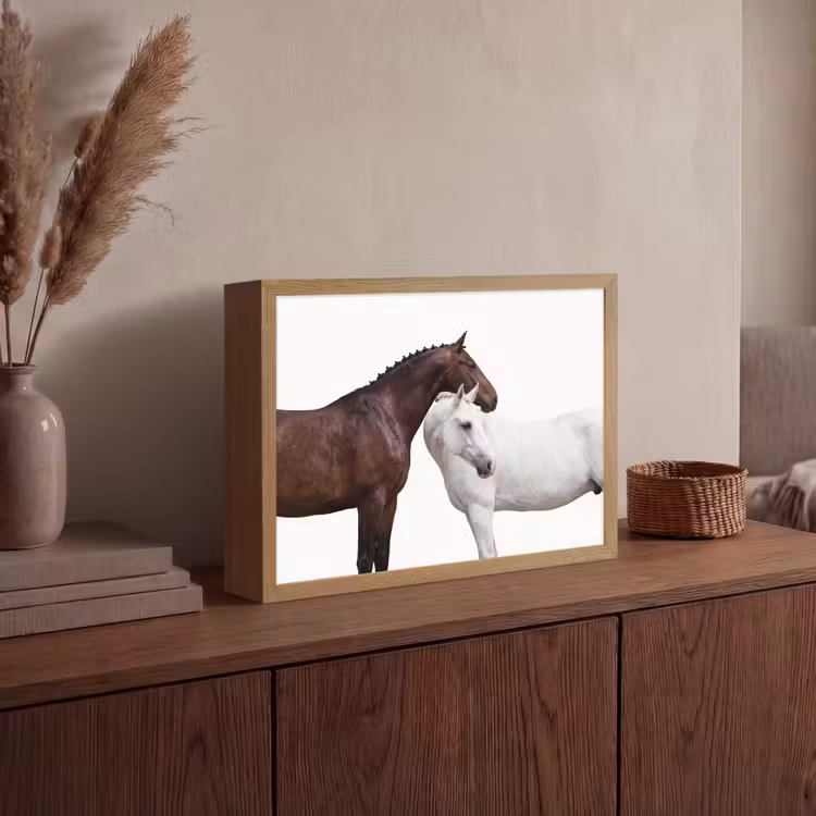 Lightbox - Wandlamp - Paard - Modern - Balans — 4