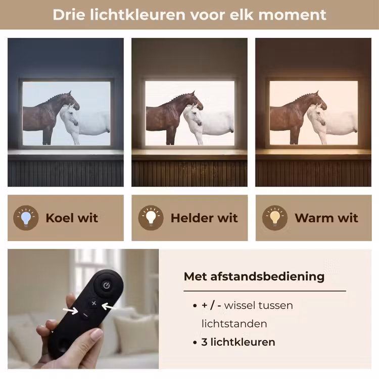 Lightbox - Wandlamp - Paard - Modern - Balans — 8