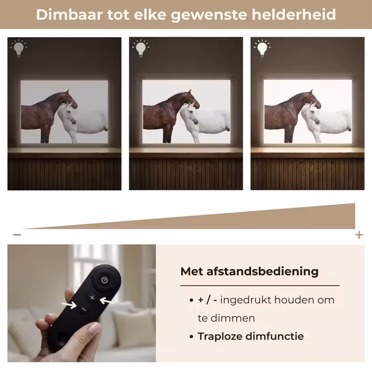 Lightbox - Wandlamp - Paard - Modern - Balans — 9