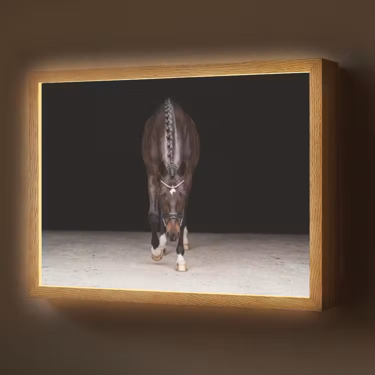 Lightbox - Wandlamp - Paard - Modern - Portret — 1