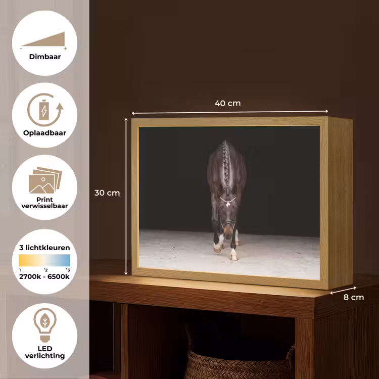 Lightbox - Wandlamp - Paard - Modern - Portret — 10