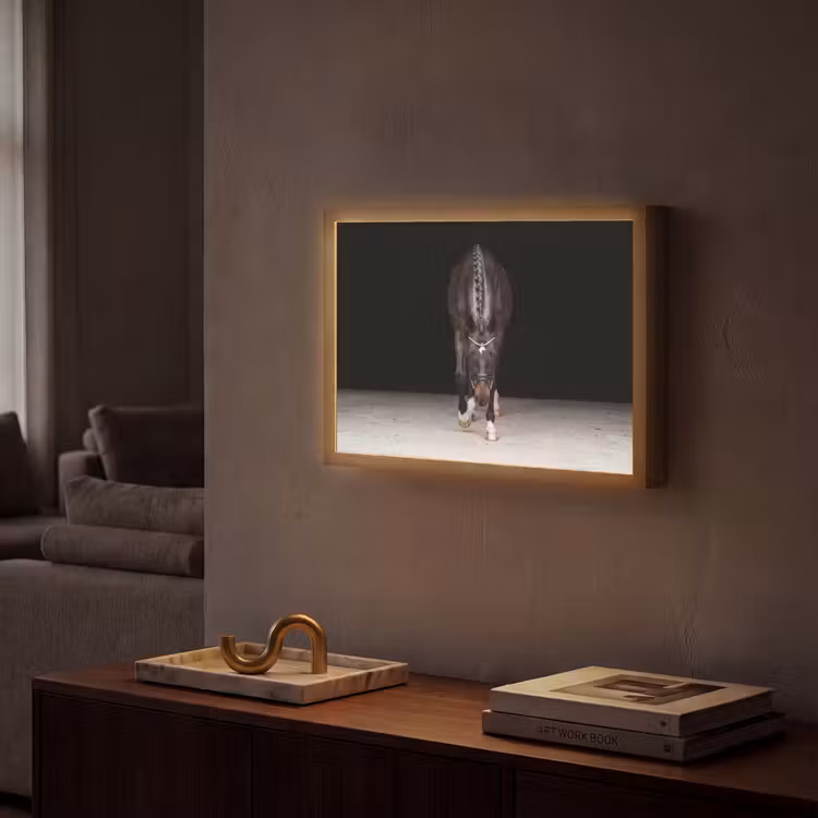 Lightbox - Wandlamp - Paard - Modern - Portret — 2