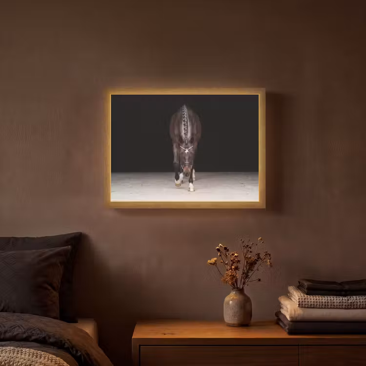 Lightbox - Wandlamp - Paard - Modern - Portret — 3