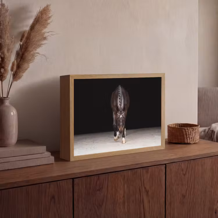 Lightbox - Wandlamp - Paard - Modern - Portret — 4