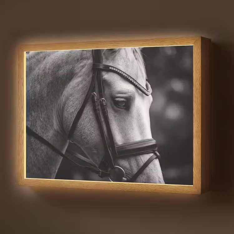 Lightbox - Wandlamp - Paard - Schimmel - Portret — 1