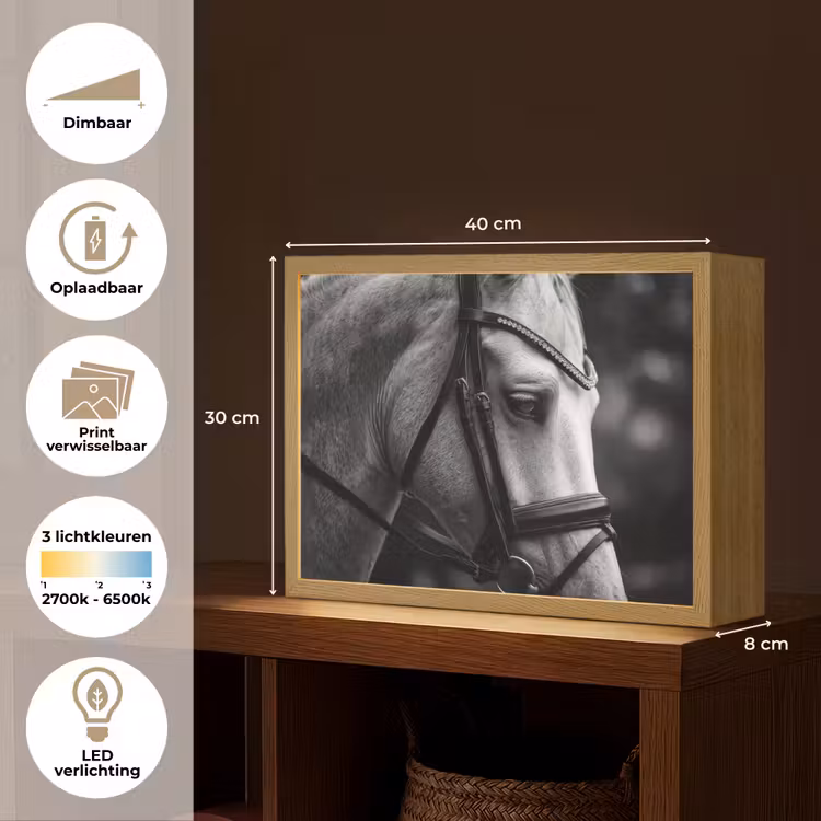 Lightbox - Wandlamp - Paard - Schimmel - Portret — 10