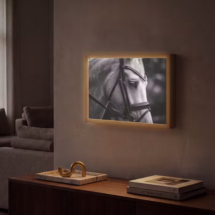 Lightbox - Wandlamp - Paard - Schimmel - Portret — 2