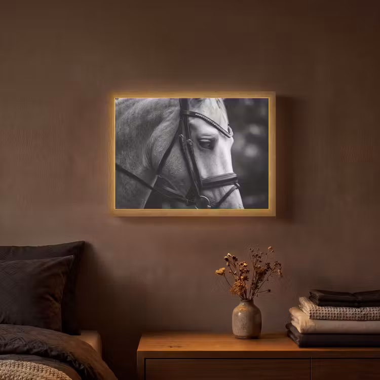 Lightbox - Wandlamp - Paard - Schimmel - Portret — 3