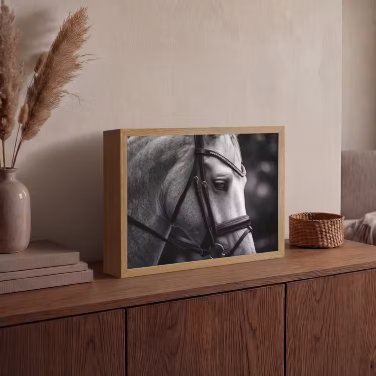 Lightbox - Wandlamp - Paard - Schimmel - Portret — 4