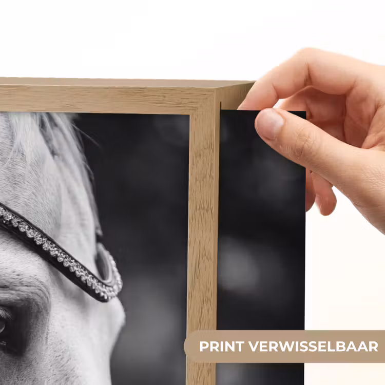 Lightbox - Wandlamp - Paard - Schimmel - Portret — 5