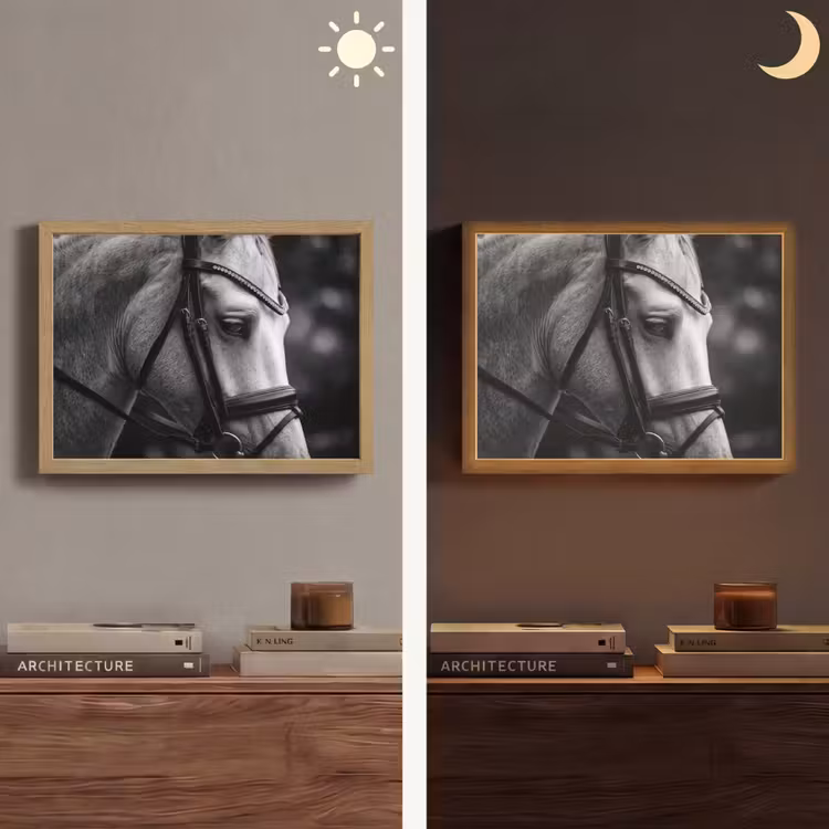 Lightbox - Wandlamp - Paard - Schimmel - Portret — 6