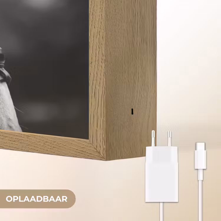 Lightbox - Wandlamp - Paard - Schimmel - Portret — 7