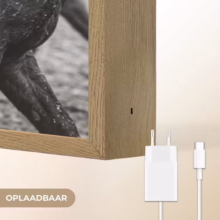 Lightbox - Wandlamp - Paard - Sport - Zwart - Wit — 7