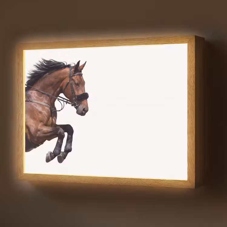 Lightbox - Wandlamp - Paard - Springen - Modern — 1