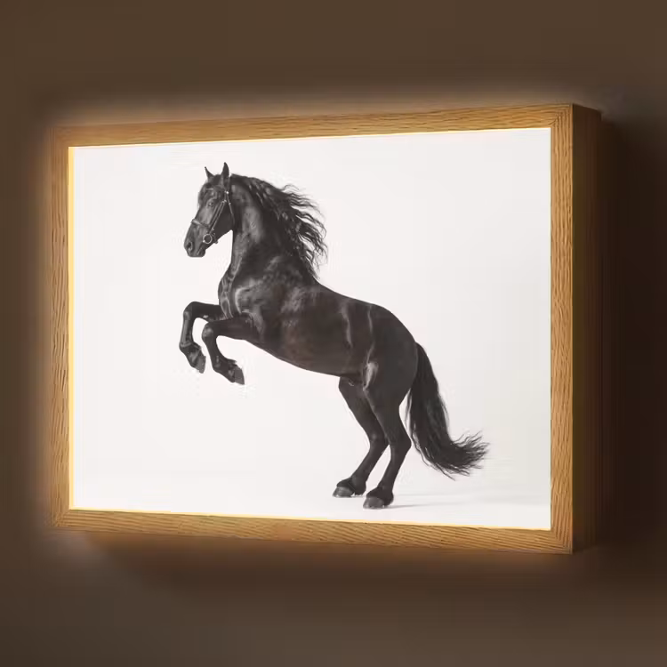 Lightbox - Wandlamp - Zwart - Paard - Portret — 1