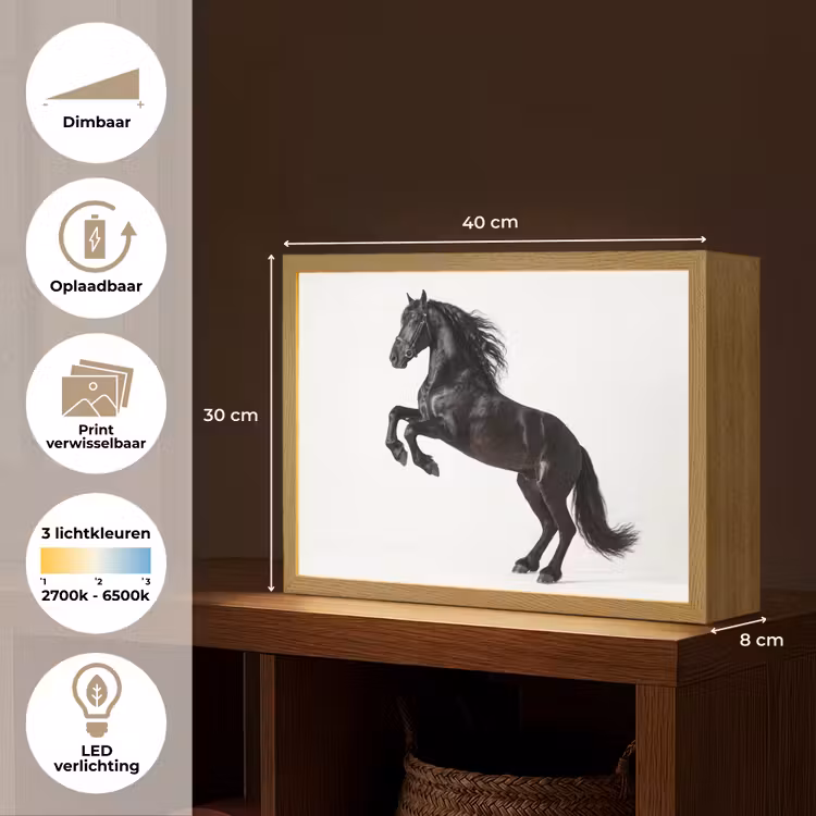 Lightbox - Wandlamp - Zwart - Paard - Portret — 10