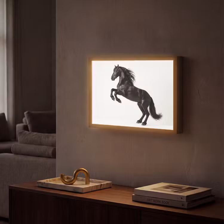 Lightbox - Wandlamp - Zwart - Paard - Portret — 2