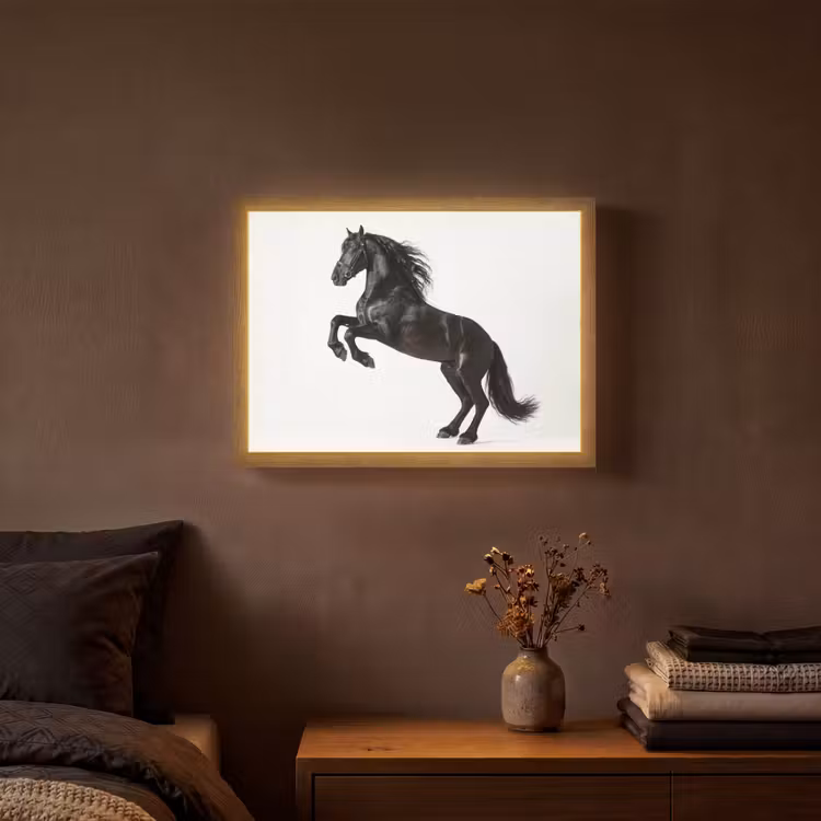 Lightbox - Wandlamp - Zwart - Paard - Portret — 3