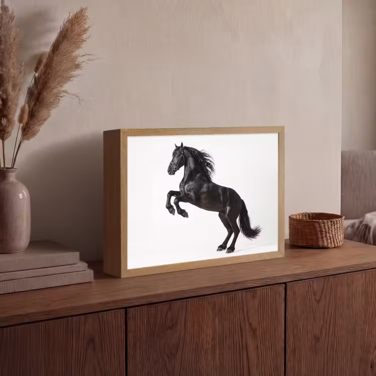Lightbox - Wandlamp - Zwart - Paard - Portret — 4