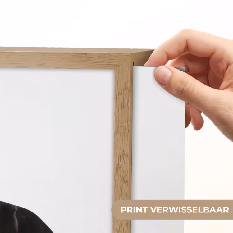 Lightbox - Wandlamp - Zwart - Paard - Portret — 5