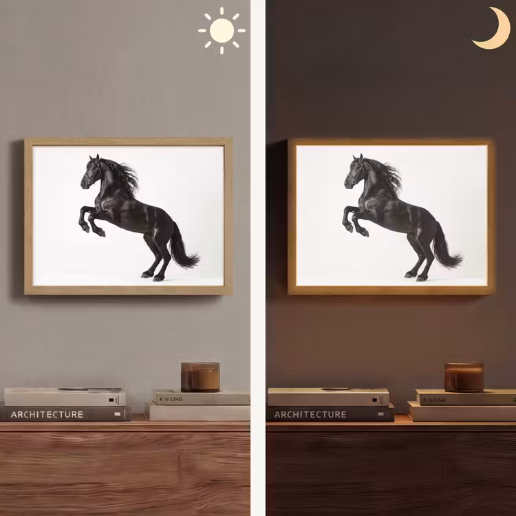 Lightbox - Wandlamp - Zwart - Paard - Portret — 6