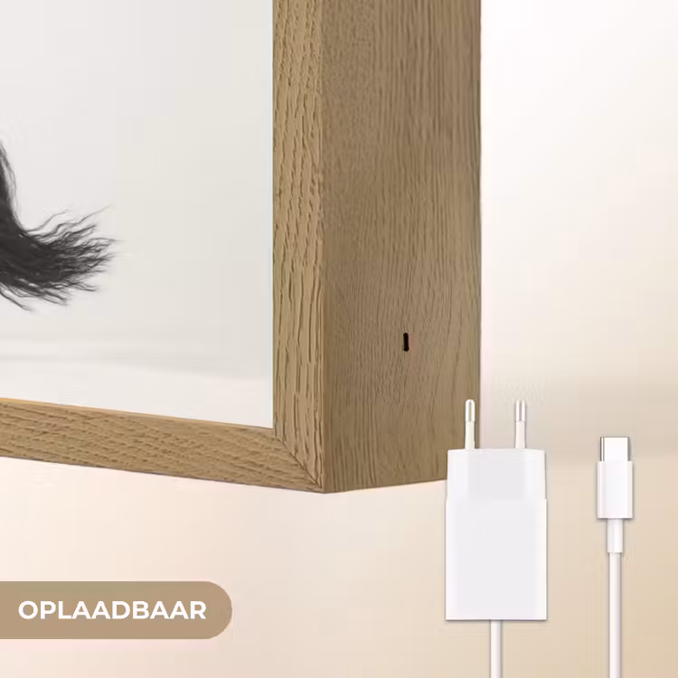 Lightbox - Wandlamp - Zwart - Paard - Portret — 7