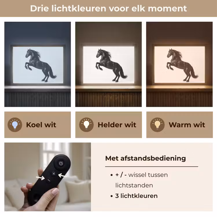 Lightbox - Wandlamp - Zwart - Paard - Portret — 8