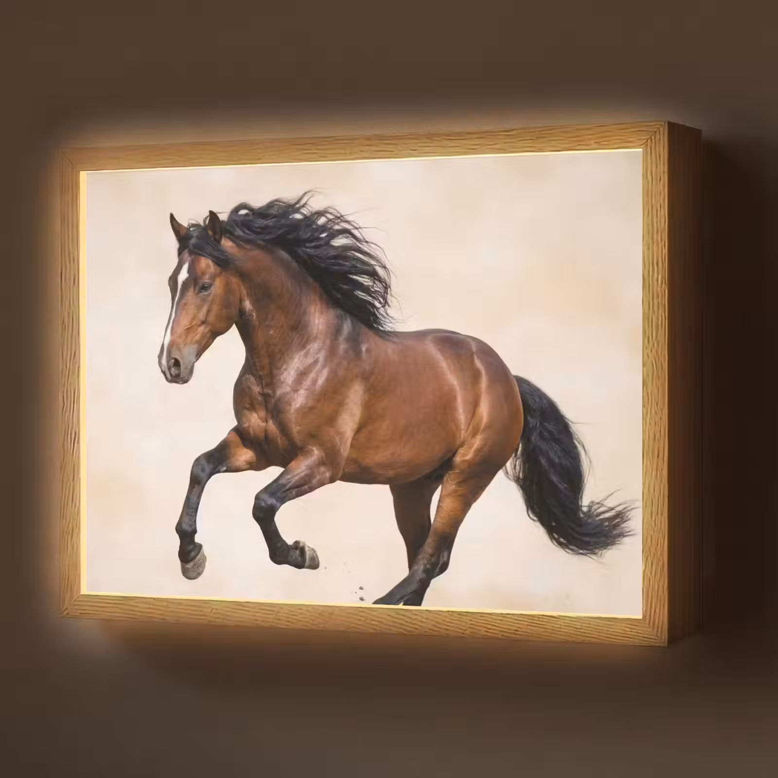 Lightbox - Wandlamp - Paard - Galop - Energie — 1