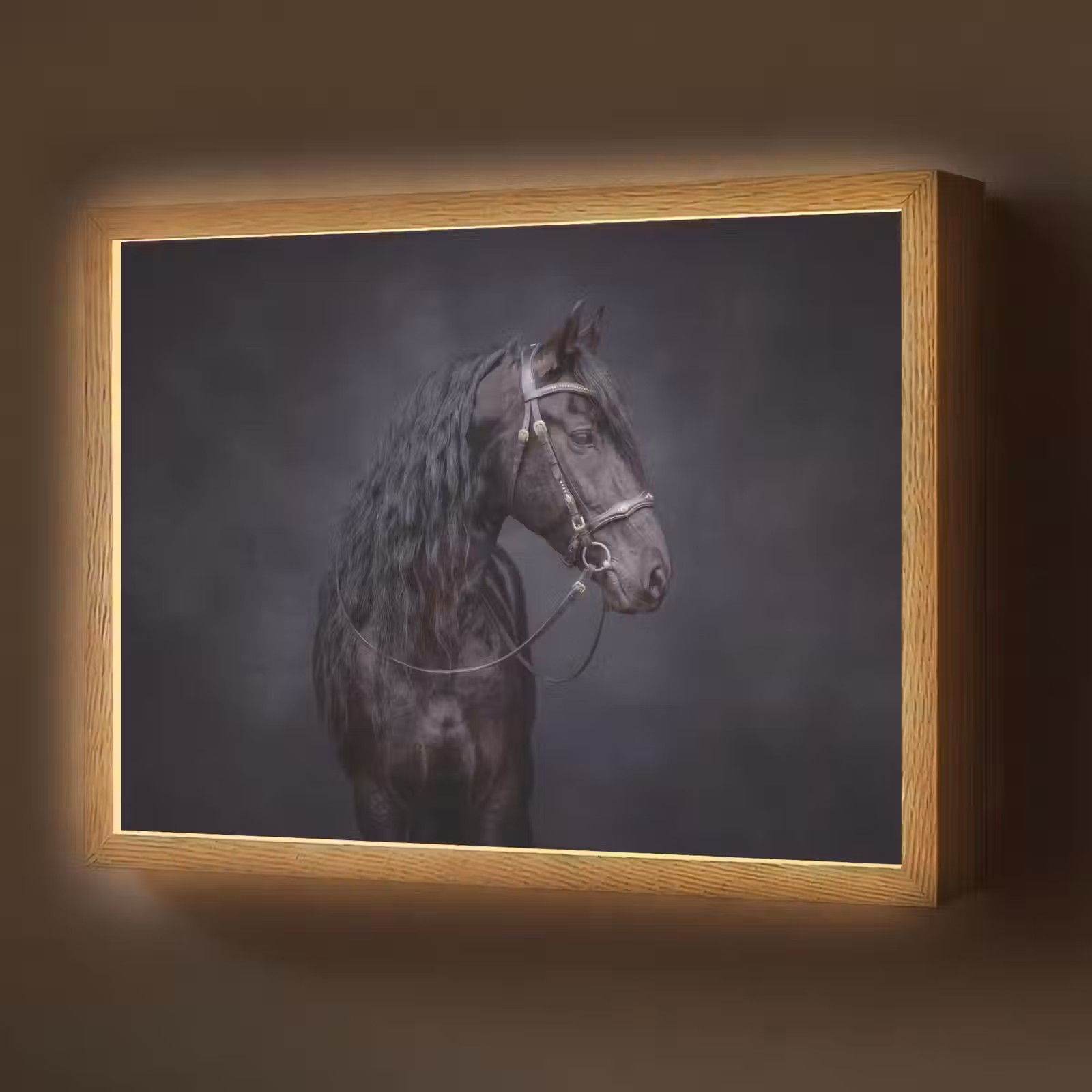 Lightbox - Wandlamp - Portret - Paard - Donker — 1