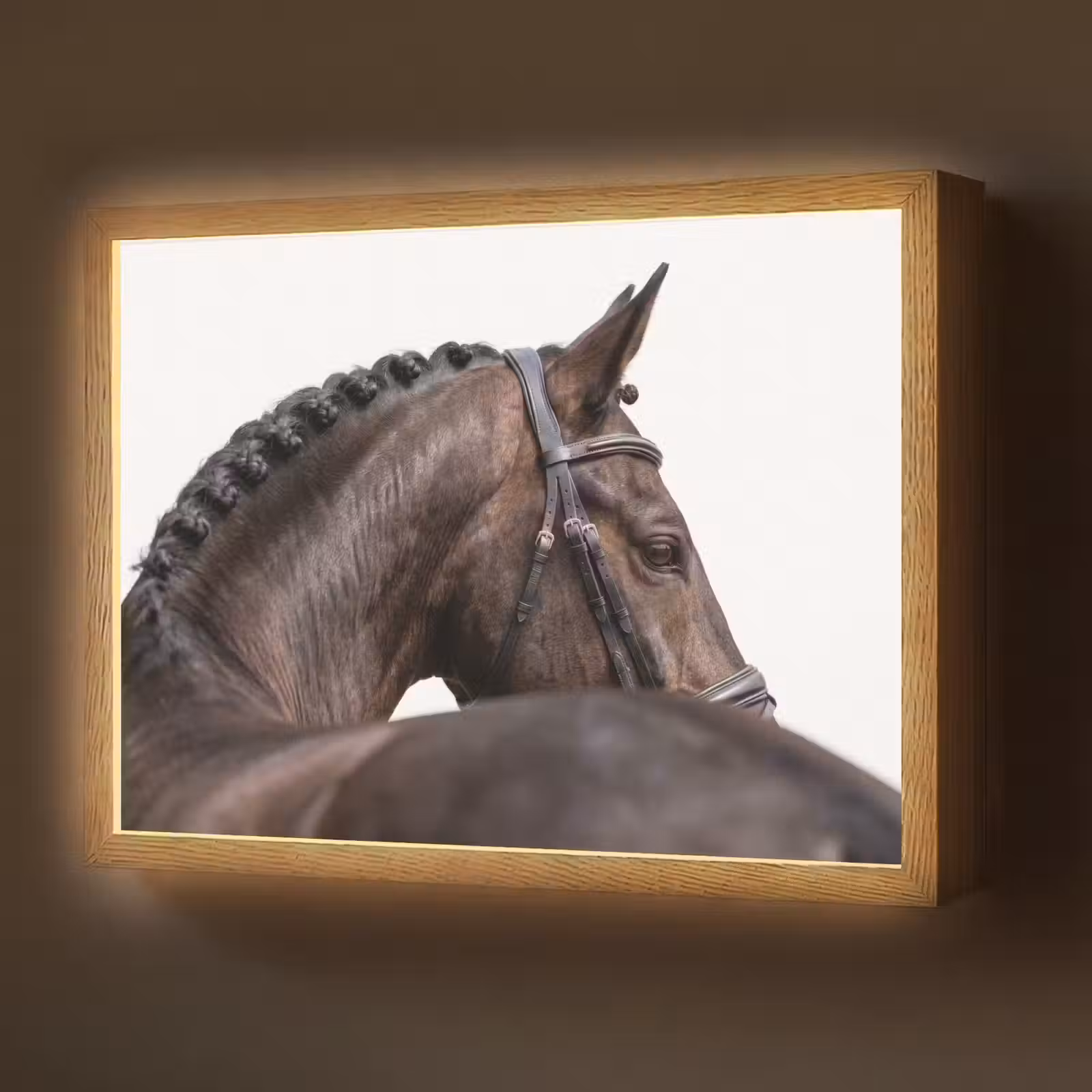 Lightbox - Wandlamp - Portret - Paard - Elegant — 1