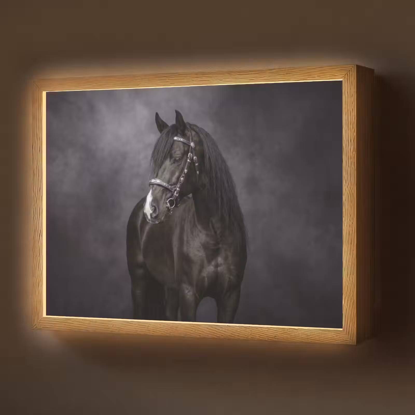 Lightbox - Wandlamp - Portret - Paard - Zwart — 1
