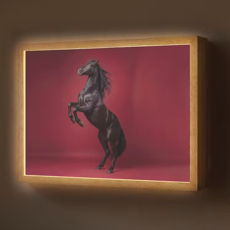 Lightbox - Wandlamp - Hengst - Steigert - Rood — 1