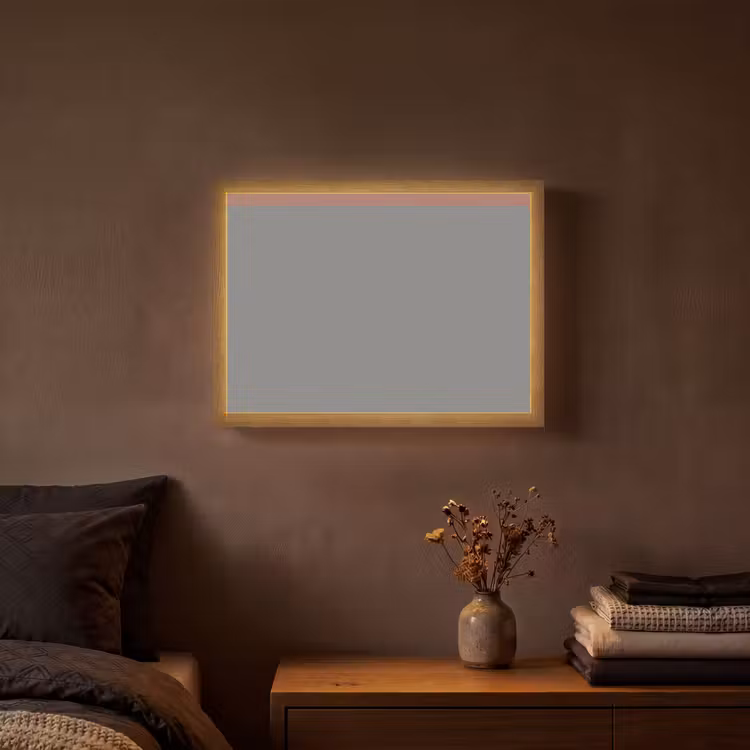 Lightbox - Wandlamp - Illustratie - Vogels - Abstract - Roze — 3