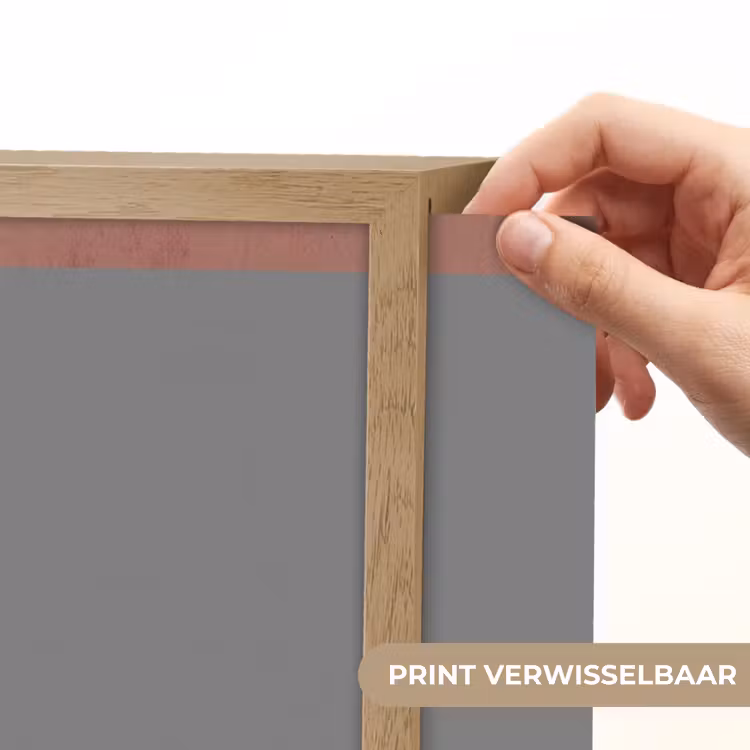 Lightbox - Wandlamp - Illustratie - Vogels - Abstract - Roze — 5