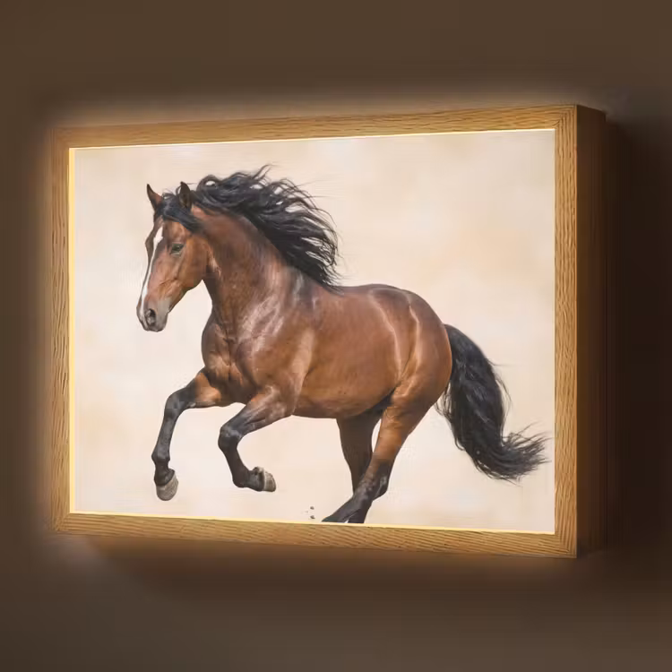 Lightbox - Wandlamp - Paard - Galop - Energie — 1