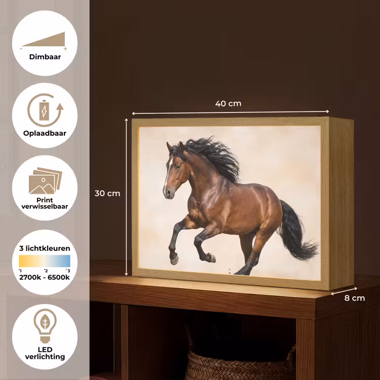 Lightbox - Wandlamp - Paard - Galop - Energie — 10