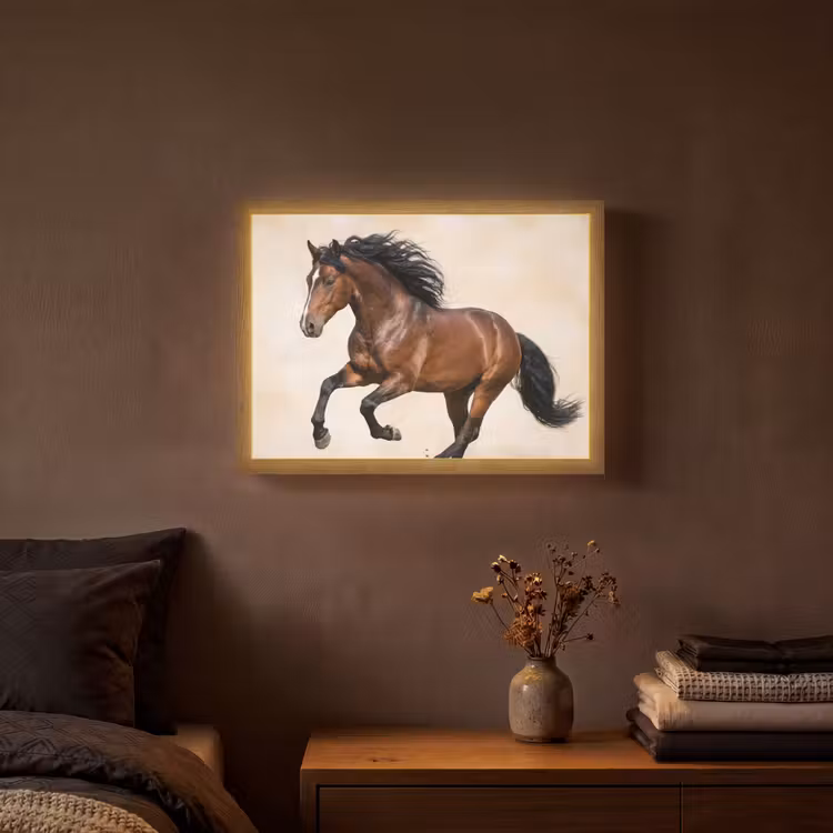 Lightbox - Wandlamp - Paard - Galop - Energie — 3