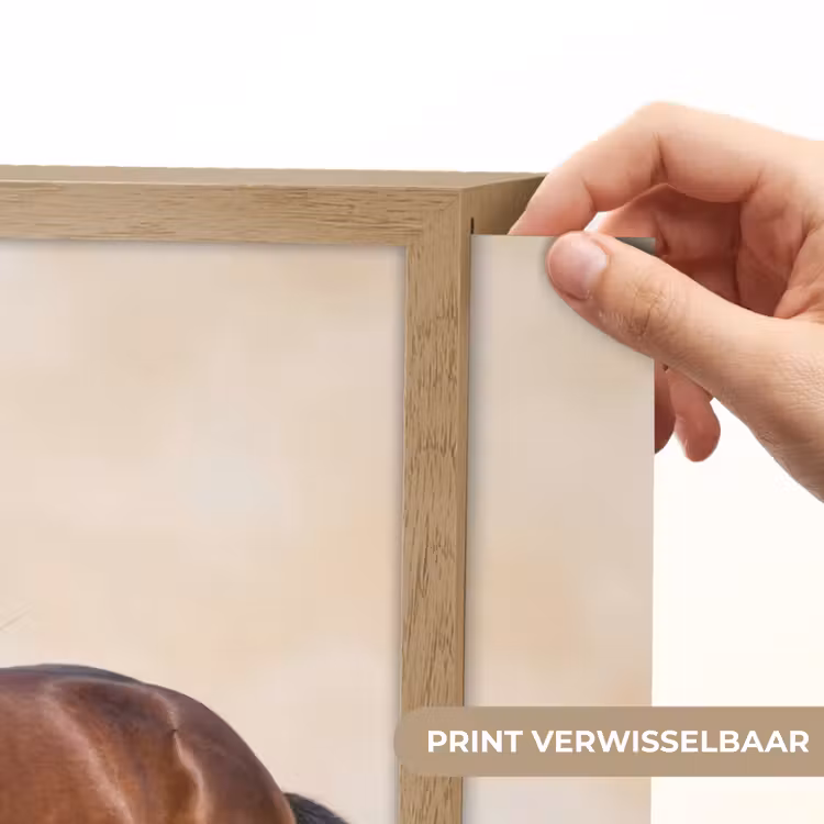 Lightbox - Wandlamp - Paard - Galop - Energie — 5