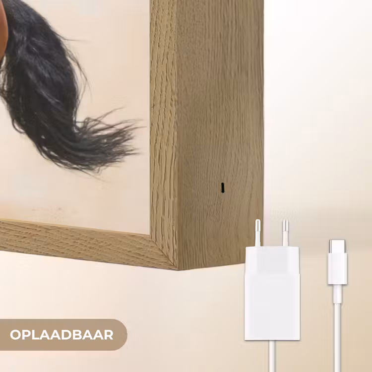 Lightbox - Wandlamp - Paard - Galop - Energie — 7