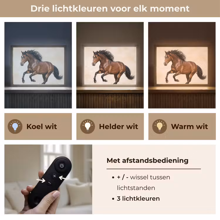 Lightbox - Wandlamp - Paard - Galop - Energie — 8