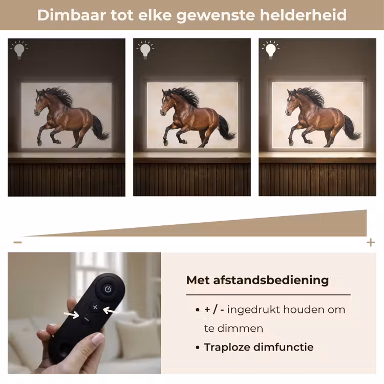Lightbox - Wandlamp - Paard - Galop - Energie — 9