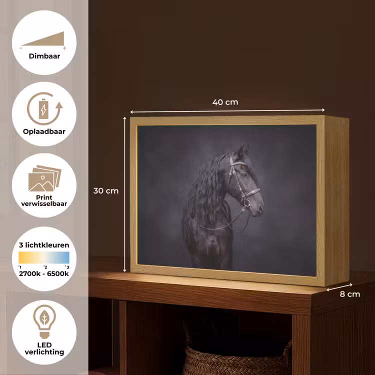 Lightbox - Wandlamp - Portret - Paard - Donker — 10