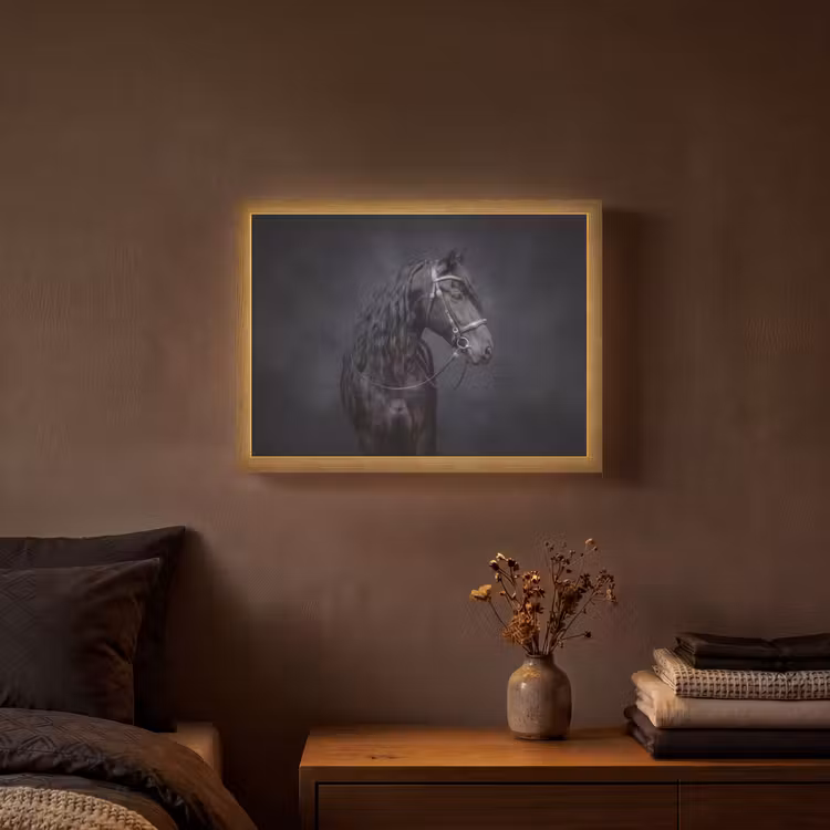 Lightbox - Wandlamp - Portret - Paard - Donker — 3