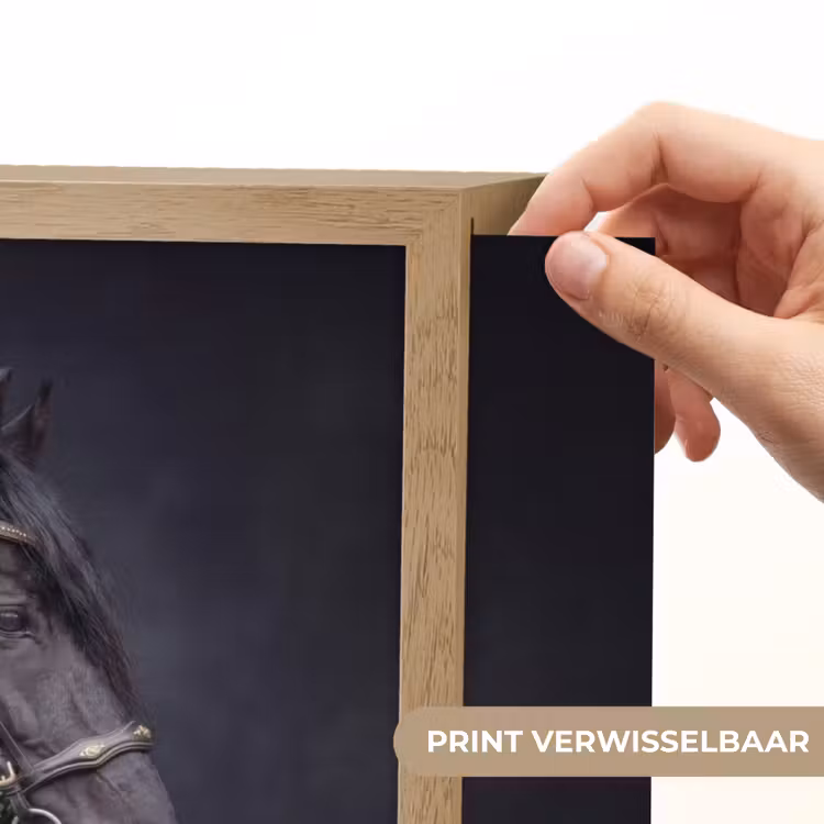 Lightbox - Wandlamp - Portret - Paard - Donker — 5