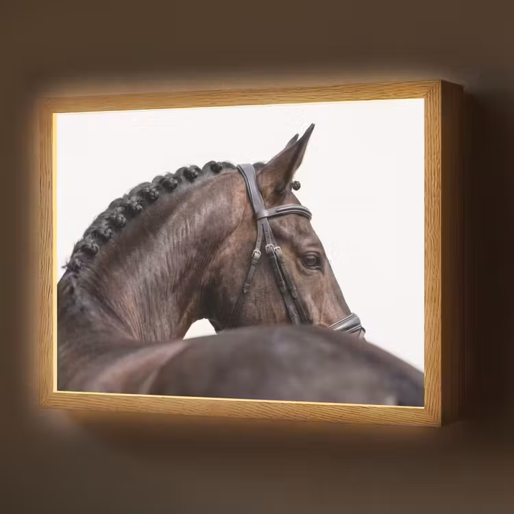 Lightbox - Wandlamp - Portret - Paard - Elegant — 1